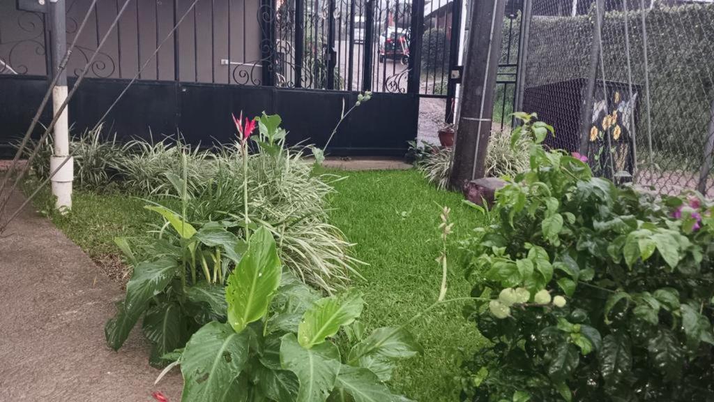Monteverde Guesthouse מראה חיצוני תמונה
